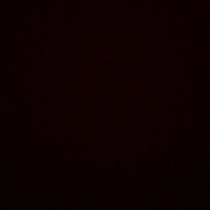 Meet your Posher, Ella